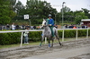 Immagine <b>REG_9162</b>